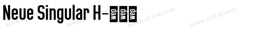 Neue Singular H字体转换
